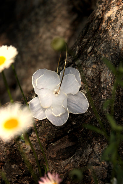 Créoles fleurs blanches